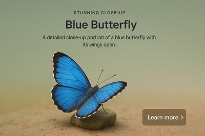 Stunning Close-Up Portrait of a Blue Butterfly