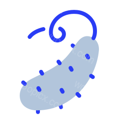 pickle cucumber food