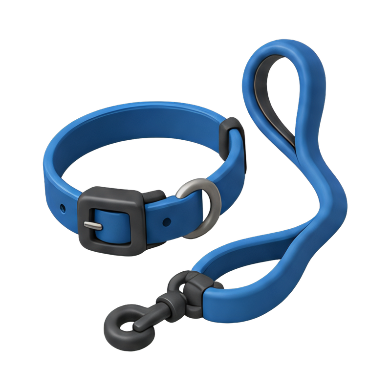 stylish dog leash and collar