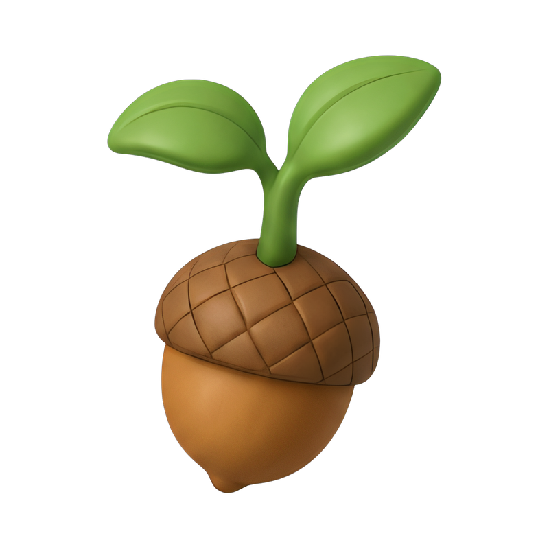 Acorn sprouting in soil