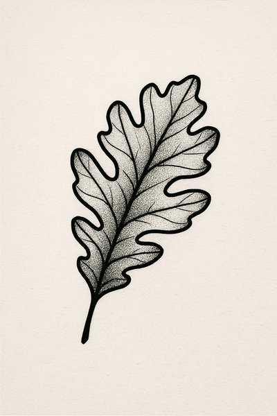 Detailed Black and White Illustration of an Oak Leaf