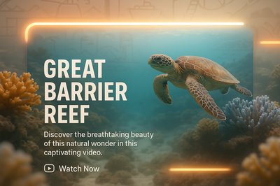 Underwater Scene Highlighting the Great Barrier Reef with Turtle