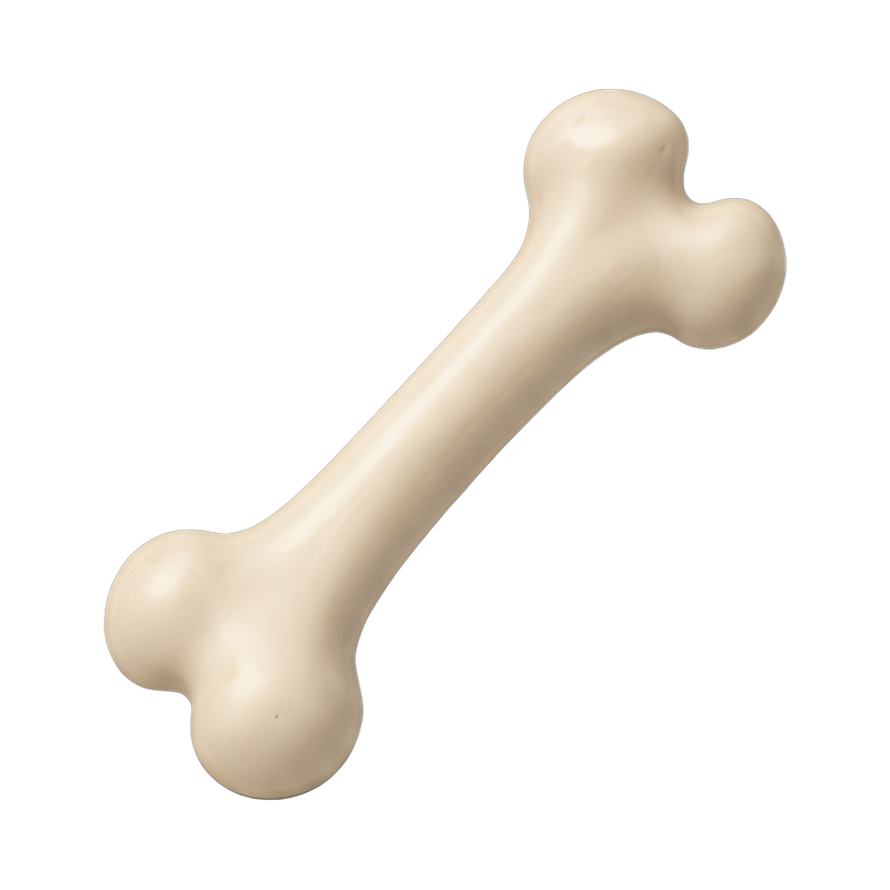 detailed femur bone anatomy