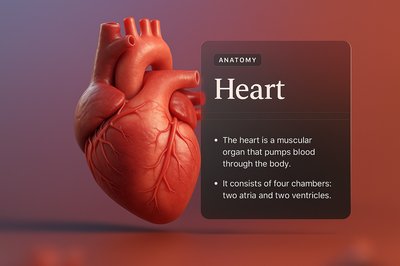 Stunning 3D Heart Composition with Text Overlay