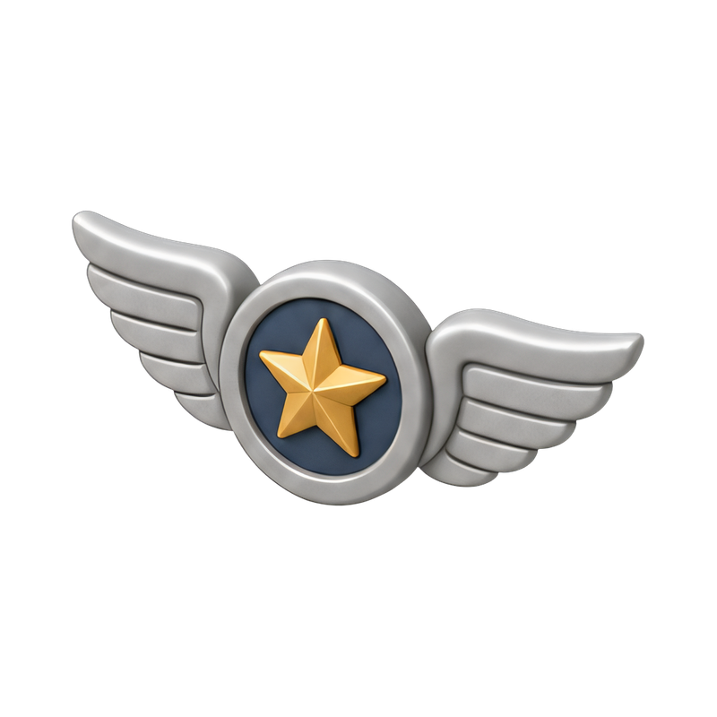 Qualification badge with wings