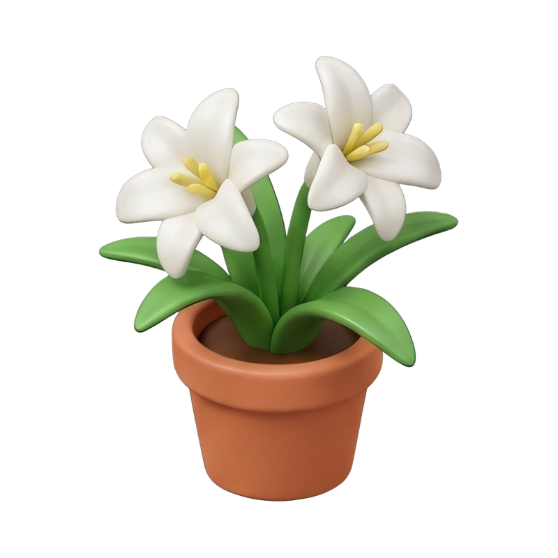 potted easter lily plant