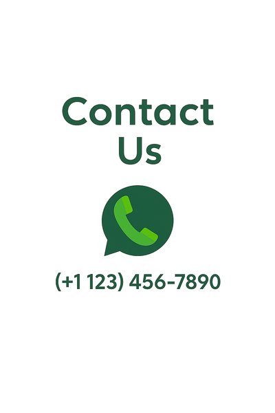 Contact Information Graphic Featuring WhatsApp Icon