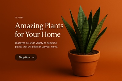Stylish Indoor Plant Display for Home Decor