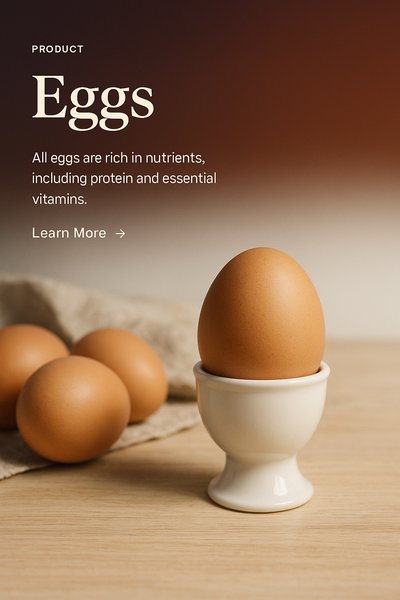 Stylish Web Page Design Featuring Eggs in Realistic Style