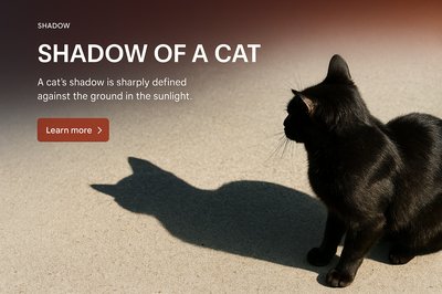 Stylish Web Design Featuring a Cat's Shadow
