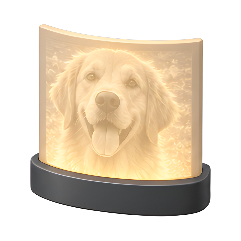 Backlit curved lithophane panel