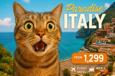 Surprised Cat Promoting Italian Paradise Travel