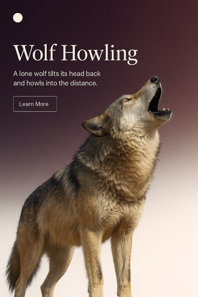 Majestic Wolf Howling on Isolated Background
