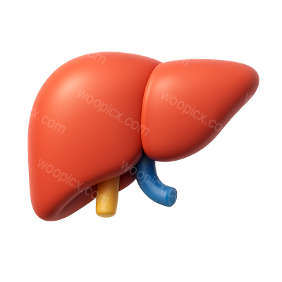 Stylized 3D Liver Icon in Isometric View