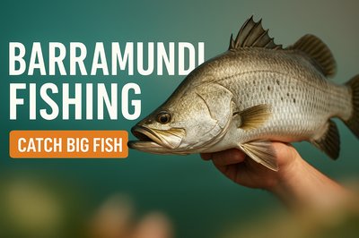 Promotional Image for Barramundi Fishing Experience