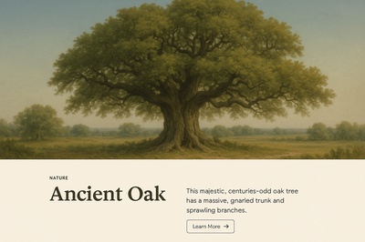 Majestic Ancient Oak Tree in Nature