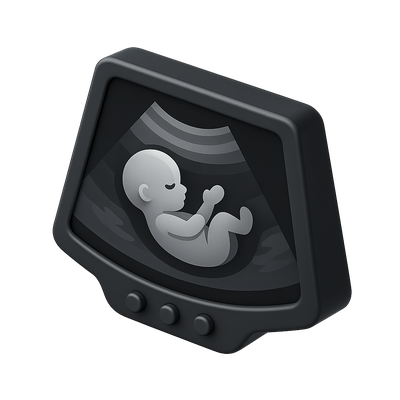 3D Ultrasound Icon Representing a Fetus in a Monitor Display