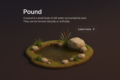 Detailed 3D Scene of a Pond Surrounded by Grass and Stones