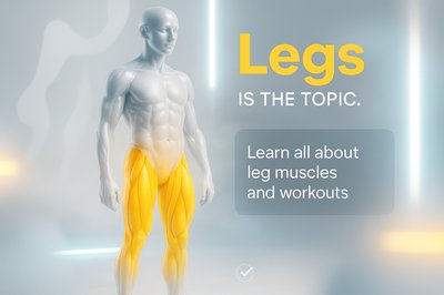 Educational Graphic on Leg Muscles and Workouts