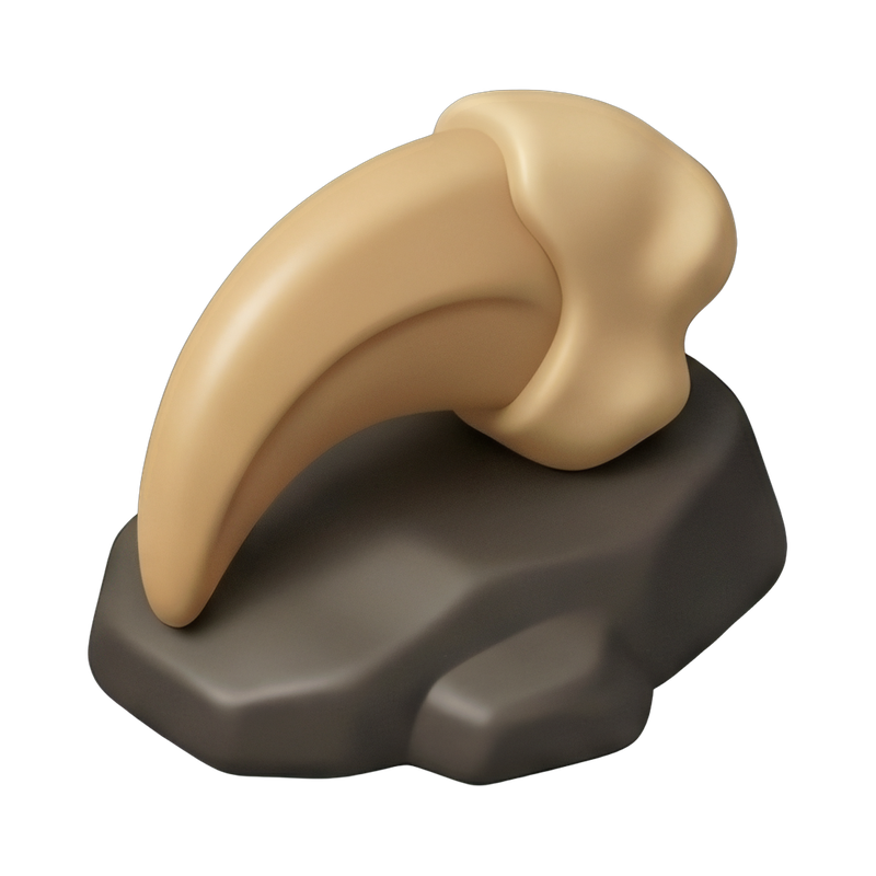 detailed raptor claw fossil