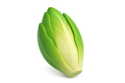 3D Stylized Endive Icon