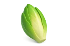 3D Stylized Endive Icon