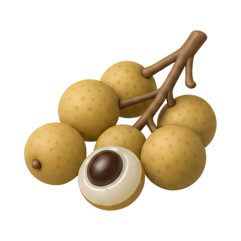 fresh longan fruit cluster