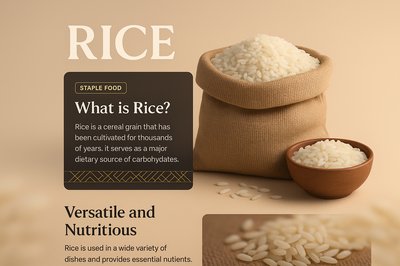 3D Illustration of Rice with Informative Blocks