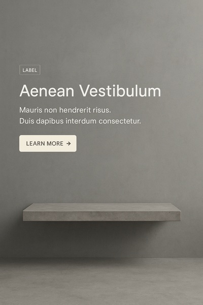 Minimalist Gray Interior with Product Display