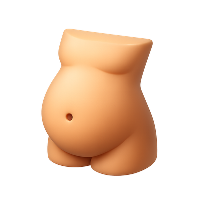 3D Volumetric Belly Icon with Isometric View