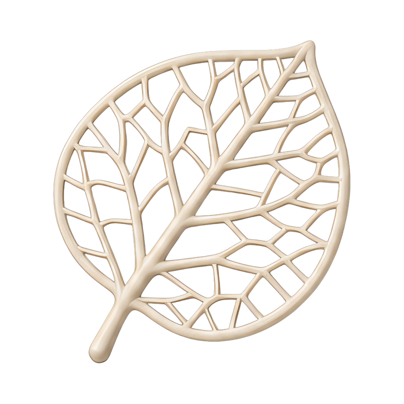 delicate leaf skeleton close-up