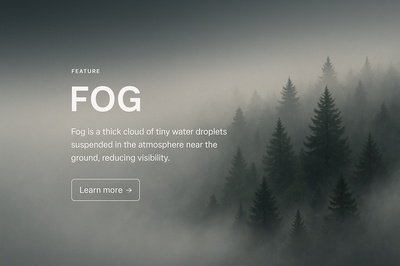 Mystical Fog Over Lush Forest Landscape