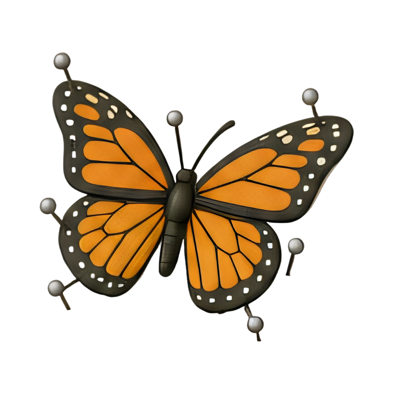 butterfly board display