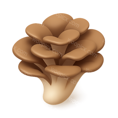 Stylized 3D Maitake Mushroom Icon with Isometric View
