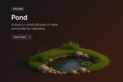 Realistic 3D Pond Scene with Interactive Elements