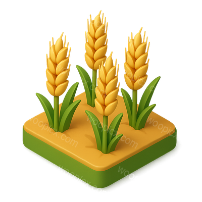 3D Isometric Barley Field Icon with Golden Ears