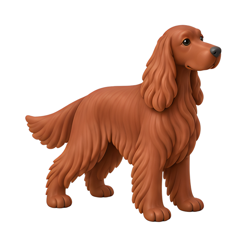 playful irish setter in park