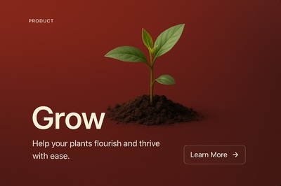 Stylish Web Design for Plant Care Product