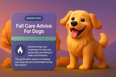 Autumn Care Tips for Dogs with Happy Golden Retriever