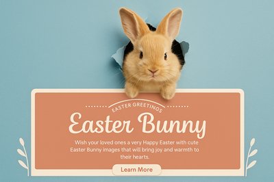 Fluffy Bunny Peeking Through Blue Wall for Easter Greetings