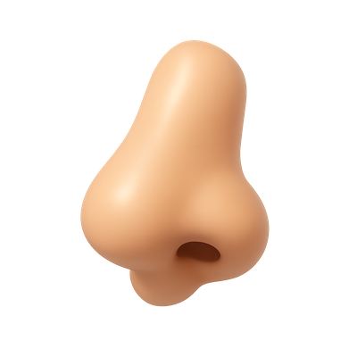Stylish 3D Nose Icon with Isometric View