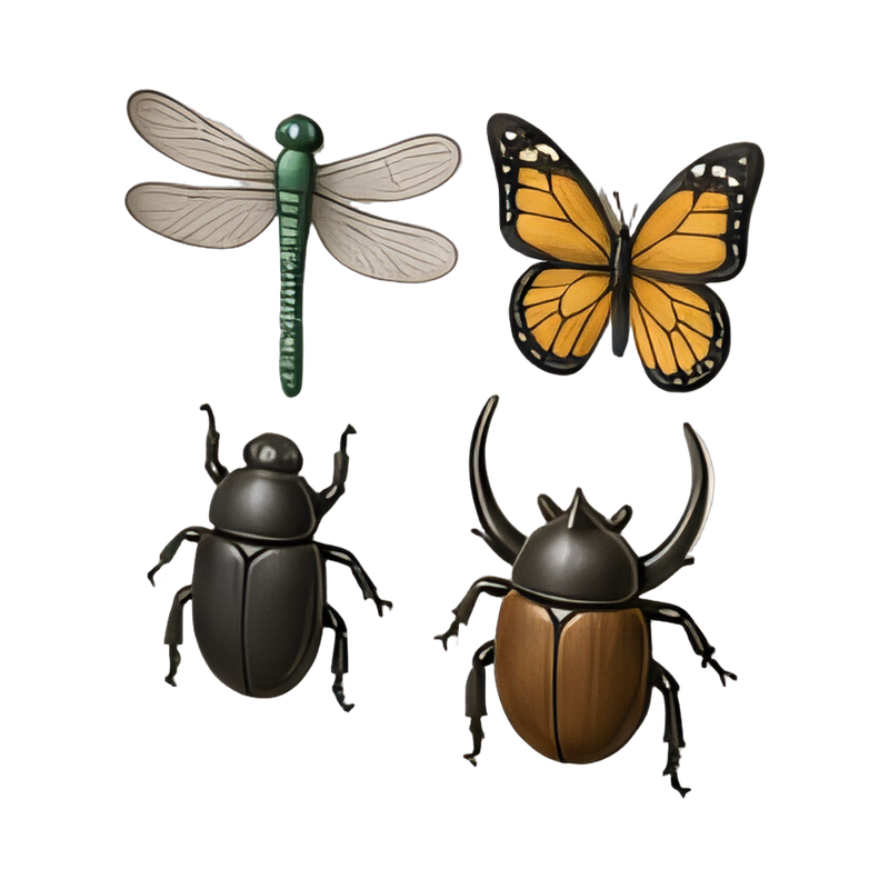 insect display frame