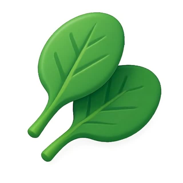 Vibrant Green Leaves Stock Footage for Culinary Use