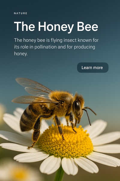 Stylish Web Page Design Featuring Honey Bee