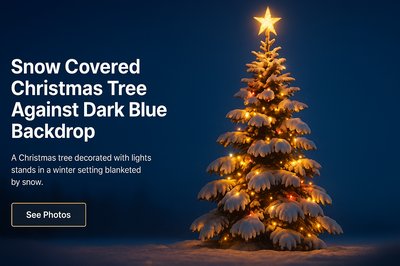 Snow Covered Christmas Tree with Dark Blue Background