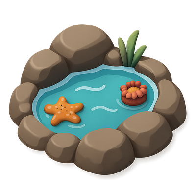 Colorful 3D Rocky Tide Pool Icon with Starfish