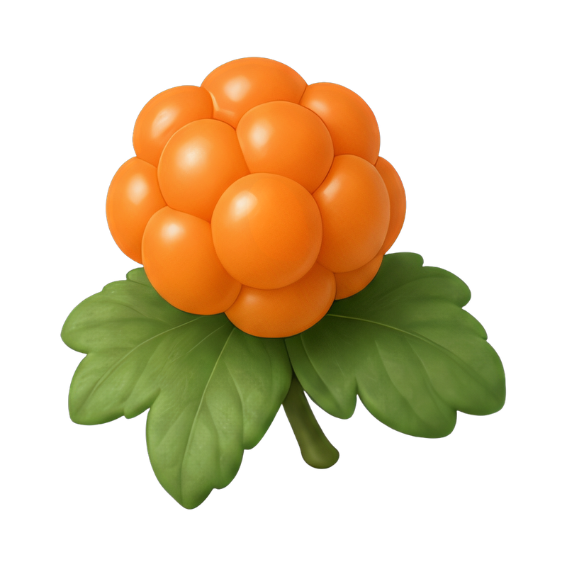Fresh cloudberry and orange