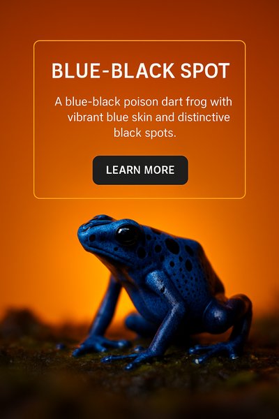 Vibrant Blue-Black Poison Dart Frog on a Warm Background