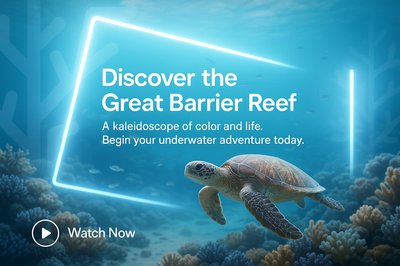 Underwater Adventure Promotion Featuring Marine Life