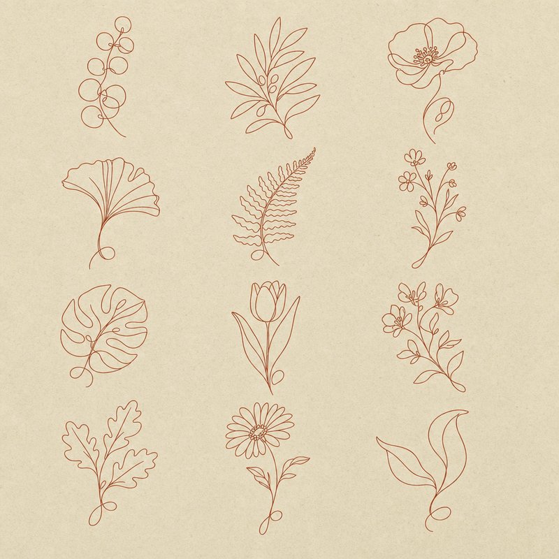 one-line botanical design elements